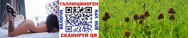 Галлюциногенные грибы мухоморы  Саяногорск 